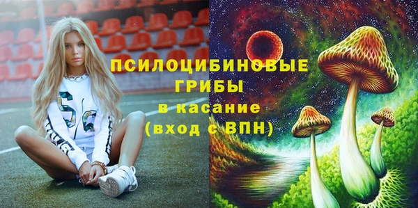 спиды Абаза
